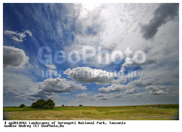 ��������� ������������� ����� ���������, ��������