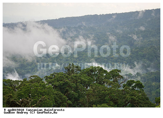 ��������, ����������� ���� ��������, ����������� ����