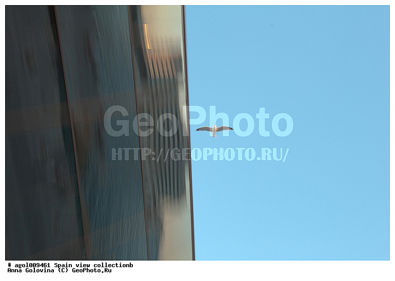 �������, ������, ����