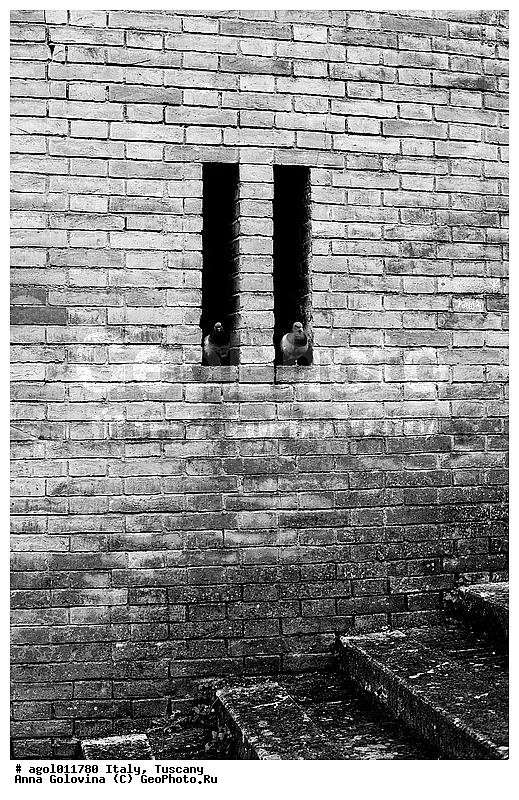 ������, �������