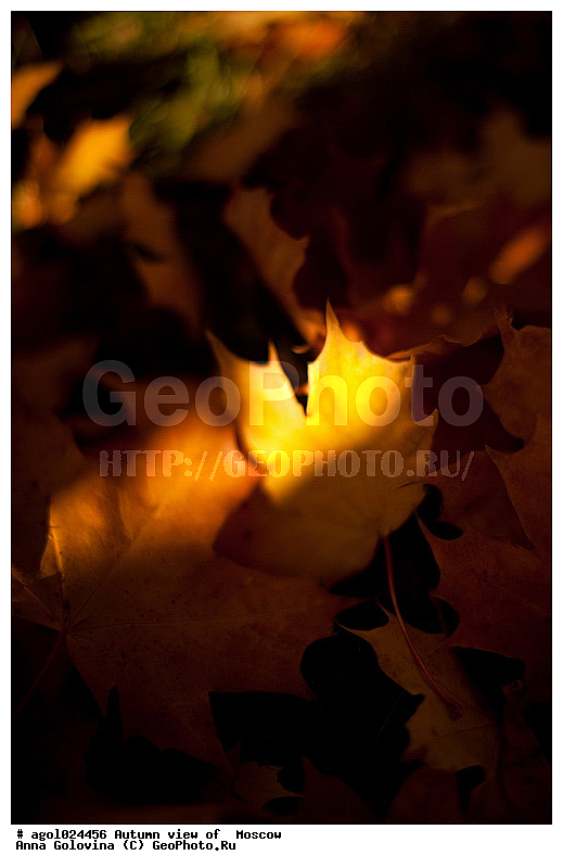 ������, �����, ������� ���