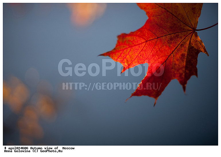 ������, �����, ������� ���