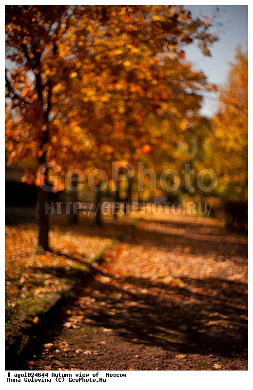 ������, �����, ������� ���