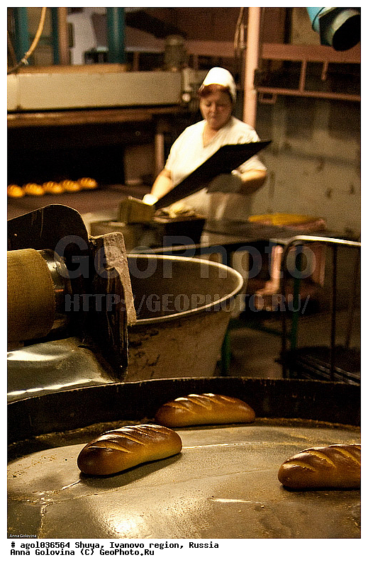 ���������� �������, �������, ���, �������, �����������, ����, �������������