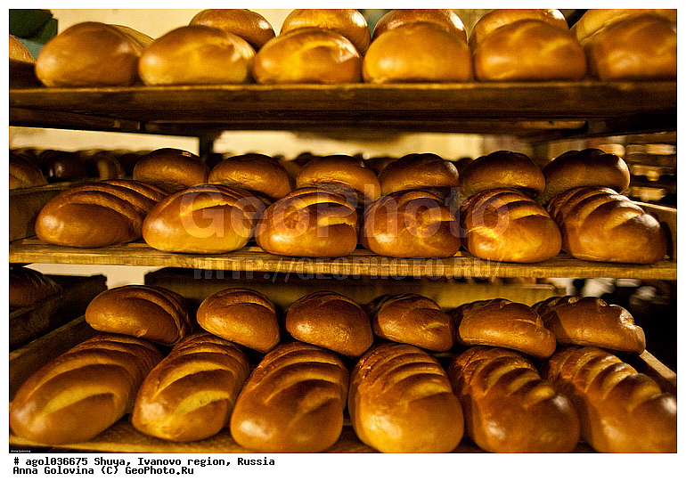 ���������� �������, �������, ���, �������, �����������, ����, �������������