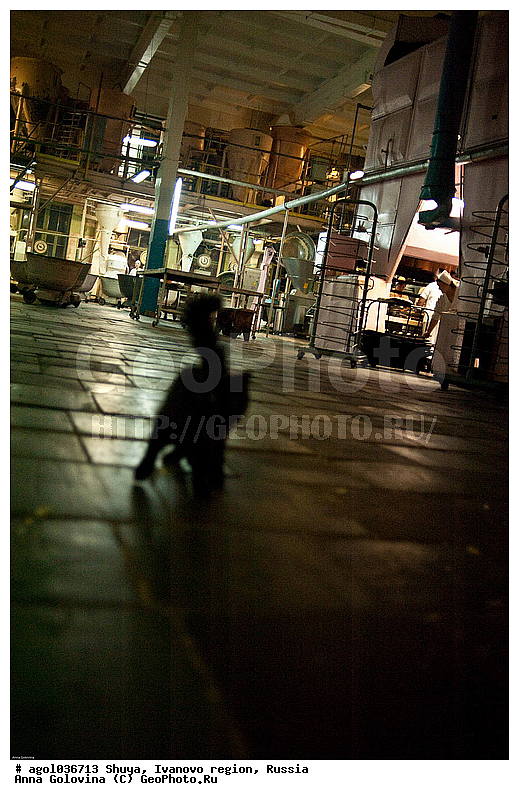 ���������� �������, �������, ���, �������, �����������, ����, �������������