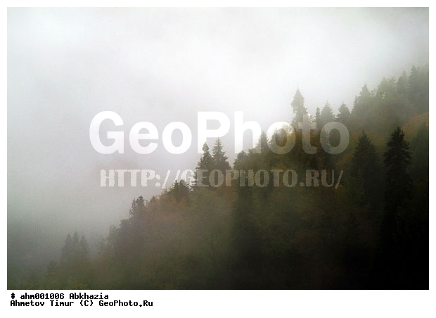 �������, ������� � �������, ������ ���, ������ ������, ����, ���, �����