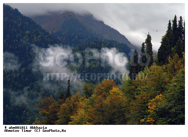 �������, �����, ������� � �������, ������ ���, ������ ������, ����, �����