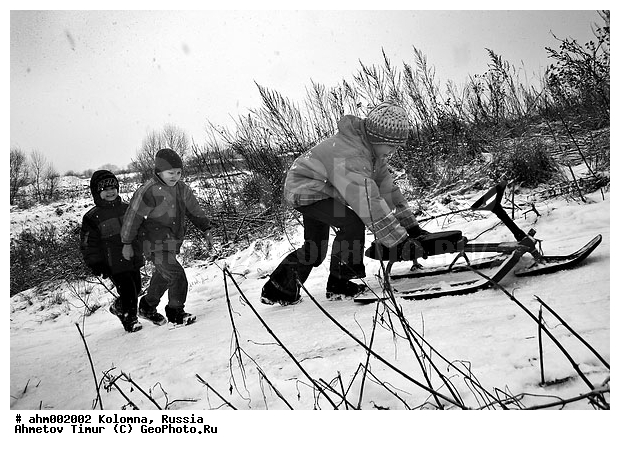 �������, �����, ���� ���������, ������ �����������, ������ ����, �������, �����