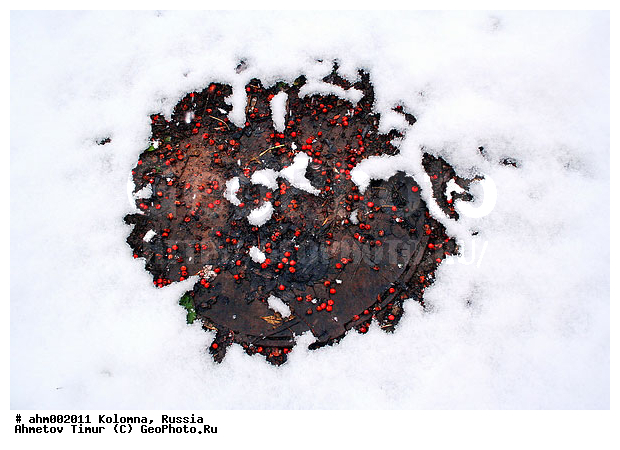 �������, �����, ����� �� �����