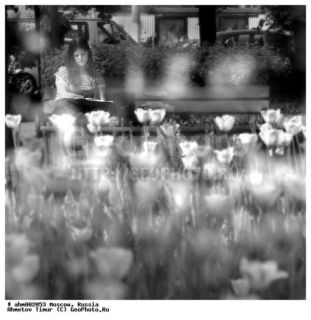 ������, �����, �����, ������� ������, �����, ����, ���, ��������, �����