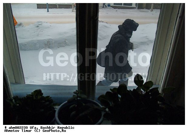 ��������, ���, ����