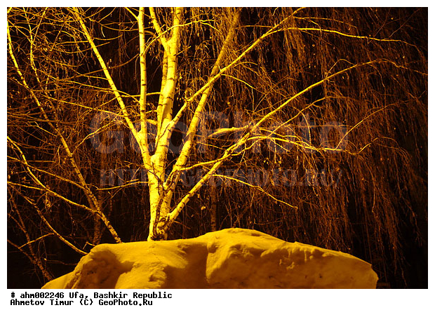 ��������, ���, ����