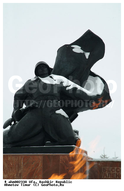 ��������, ���, ��������, ���, ������ �����, ����, �����, ����, �������� �������� � ������������