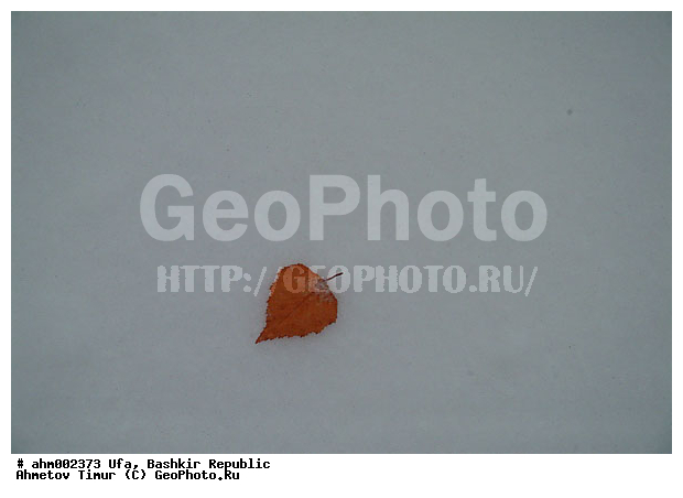 ��������, ���, ����