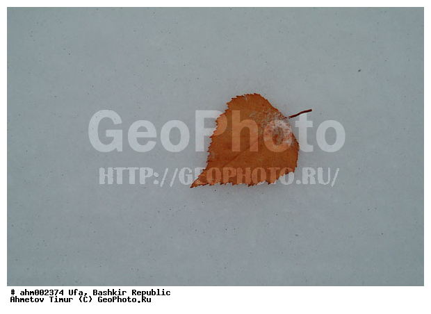 ��������, ���, ����, ������, ������ �� �����, ����