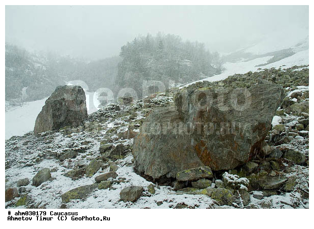 �����, ������, ���������-���������, ��������� ������, ����