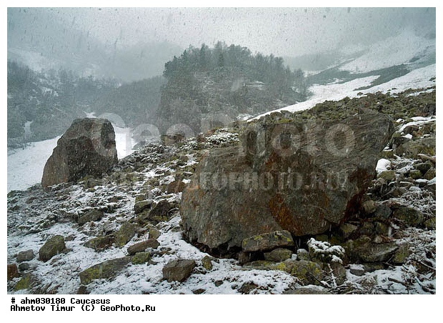 �����, ������, ���������-���������, ��������� ������, ����