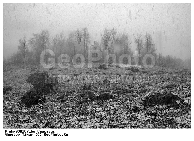 �����, ������, ���������-���������, ��������� ������, ����