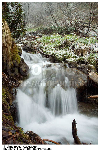 �����, ������, ���������-���������, ��������� ������, ����