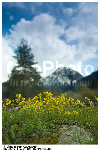 �����, ������, ���������-���������, ��������� ������, ����