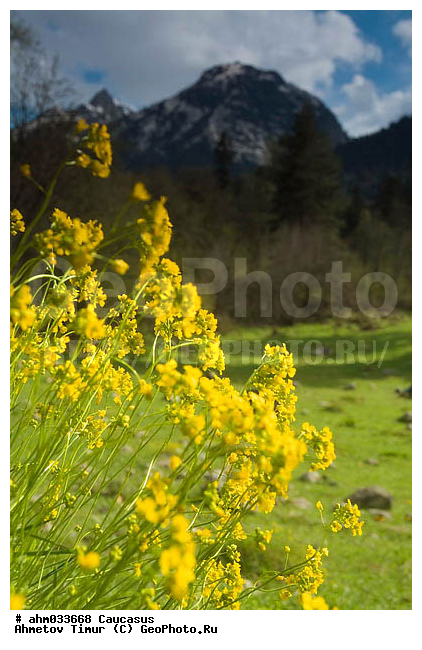 �����, ������, ���������-���������, ��������� ������, ����