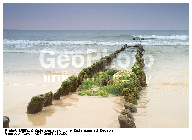 ������, ������, ������������, ���������������, ��������, ����, ����������