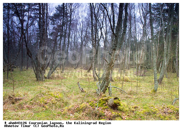 ������, ������, ���������������, ��������, ����, ���, ����������, ������ ���, ��������� ���