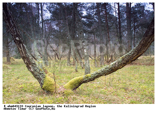 ������, ������, ���������������, ��������, ����, ���, ����������, ������ ���, ��������� ���