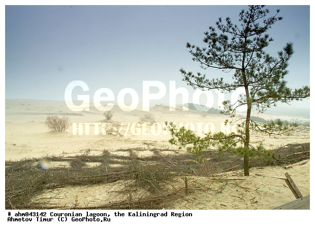 ������, ������, ���������������, ��������, ���, ����, ����, ����, �����, ����������