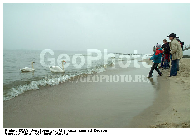 ������, ������, ���������������, ��������, �����������, ����, ����������