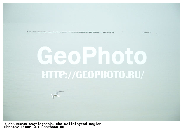 ������, ������, ���������������, ��������, �����������, ����, ����, ����������, �����