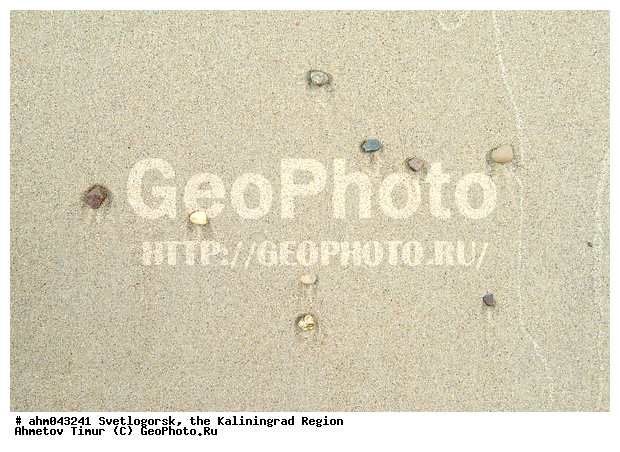 ������, ������, ���������������, ��������, �����������, ����, ����, �����, ����������