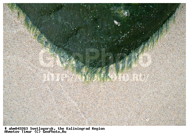 ������, ������, ���������������, ��������, �����������, ����, ����������