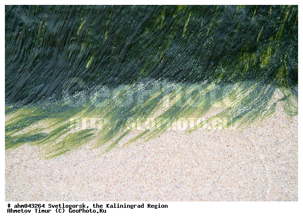 ������, ������, ���������������, ��������, �����������, ����, ����������