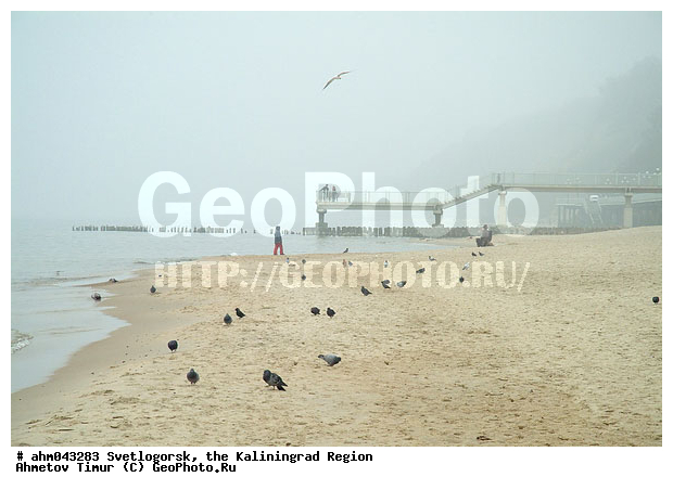 ������, ������, ���������������, ��������, �����������, ����, ����������