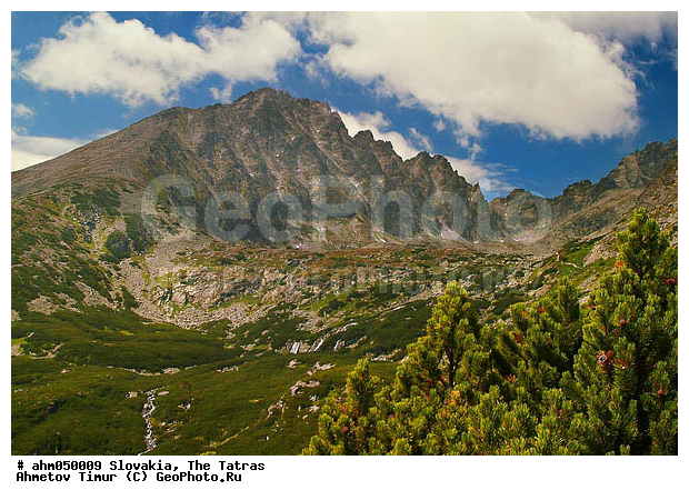 ������� �����, �������, ��������, �����, ���������, ������, ������ ������, ����, ������������, �����, ��������