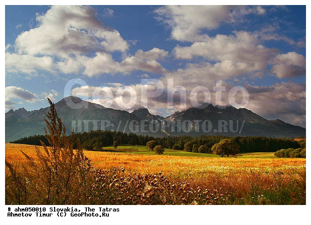 ������� �����, ������, ������������ ����, �������, ��������� ����, ��������, �����, ���������, ������, ������ ������, ����, ������, ����, ������������, �����, ��������