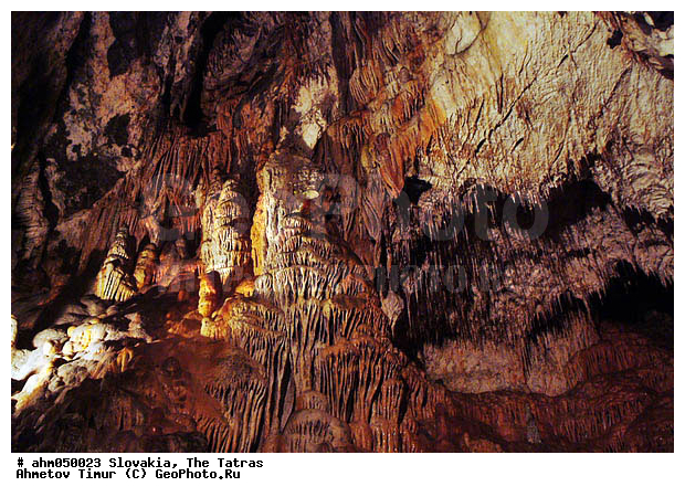 ��������, �����, ����, ������, ������ �������, ������, ������, �����������, ����������, ����������, ����������