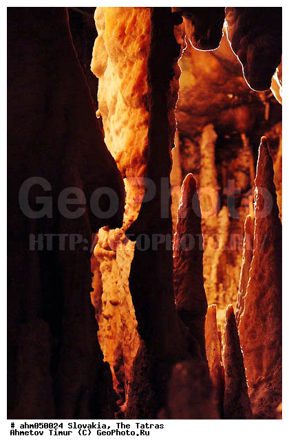 ��������, �����, ����, ������, ������ �������, ������, �����������, ����������, ����������, ����������