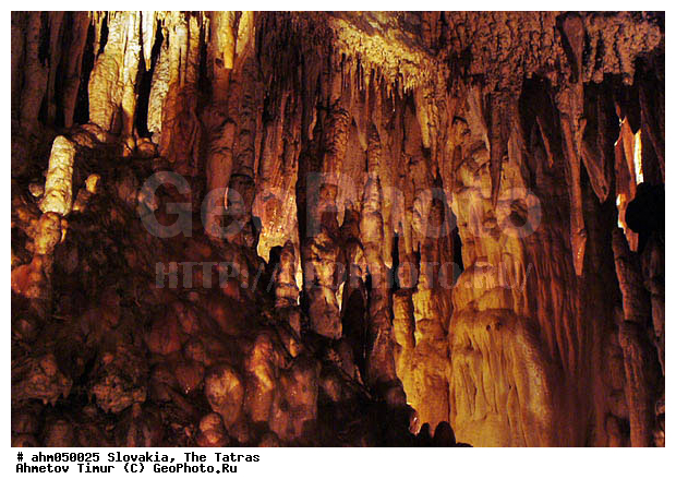 ��������, �����, ����, ������, ������ �������, ������, �����������, ����������, ����������