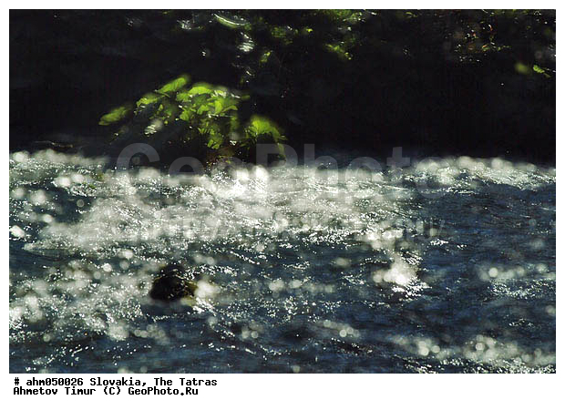 ��������, �����, �����, ����, �������, ��������, ����, ��������� �������