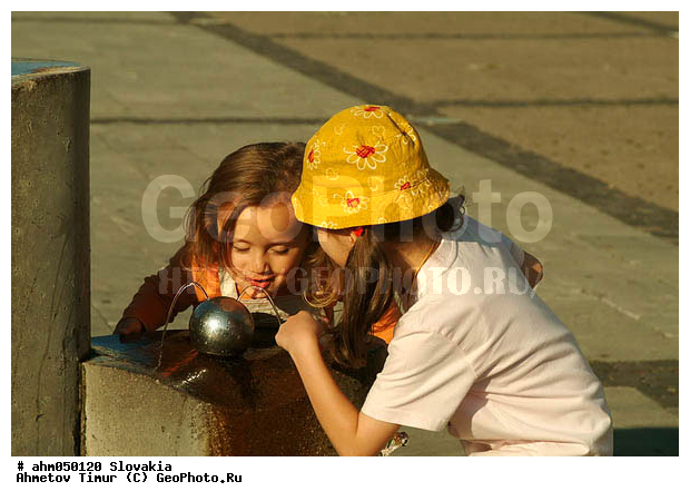 ��������, ����� ������ ��������, ����, �������, ���� �����, ������