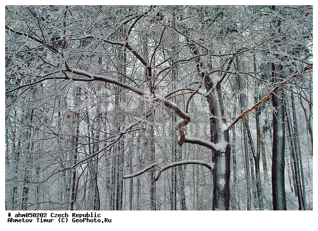 ����, �����, �����, �������, ����, ������� � �����, ���, �����������, ����, ������, ������ ���, ������ ������, ��������, ���, �����, �������, ����, ������� �����, �������