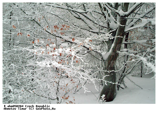 ����, ��������, �����, �����, ������� ����������, �������, ������ ����, ����, ������� � �����, ���, �����������, ����, ������, ������ ���, ������ �����, ������ ������, ��������, ���, �����, �������, ����, ������� �����, ��������, �������