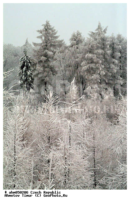 ����, ��������, �����, �����, ������� ����������, �������, ������ ����, ����, ������� � �����, ���, �����������, ����, ������, ������ ���, ������ �����, ������ ������, ��������, ���, �����, �������, ����, ������� �����, ��������, �������