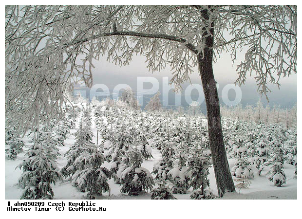 ����, ��������, �����, �����, ������� ����������, �������, ������ ����, ����, ������� � �����, ���, �����������, ����, ������, ������ ���, ������ �����, ������ ������, ��������, ���, �����, �������, ����, ������� �����, ��������, �������