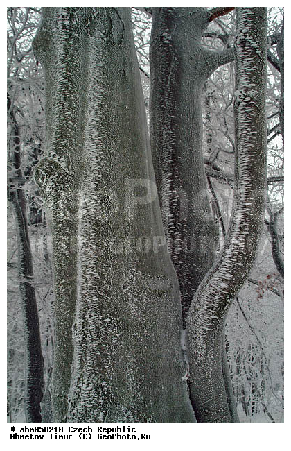 ����, ��������, �����, �����, ������� ����������, �������, ������ ����, ����, ������� � �����, ���, �����������, ����, ������, ������ ���, ������ �����, ������ ������, ��������, ���, �����, �������, ����, ������� �����, ��������, �������