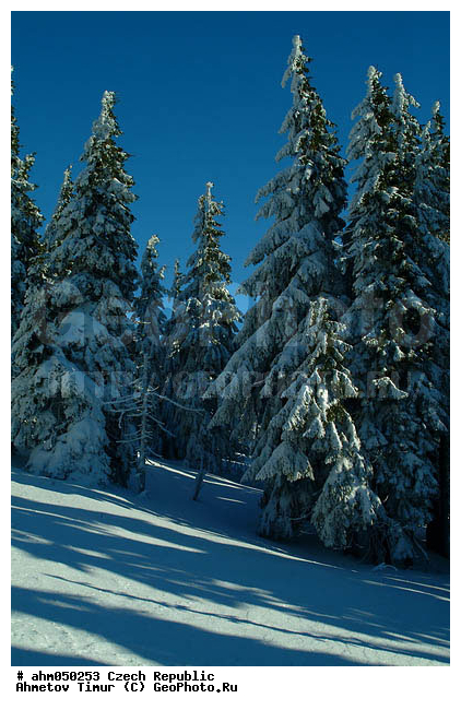 ����, ��������, �����, �����, ������� ����������, �������, ������ ����, ����, ������� � �����, ���, �����������, ����, ������, ������ ���, ������ �����, ������ ������, ��������, ���, �����, �������, ����, ������� �����, ��������, �������