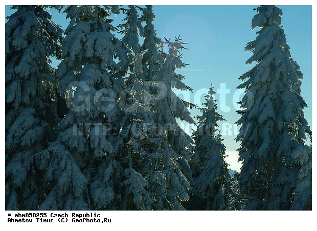 ����, ��������, �����, �����, ������� ����������, �������, ������ ����, ����, ������� � �����, ���, �����������, ����, ������, ������ ���, ������ �����, ������ ������, ��������, ���, �����, �������, ����, ������� �����, ��������, �������